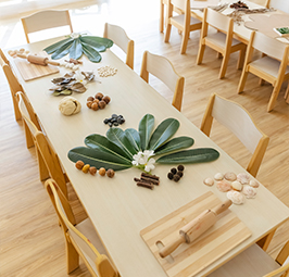 Spacious Natural Classroom
