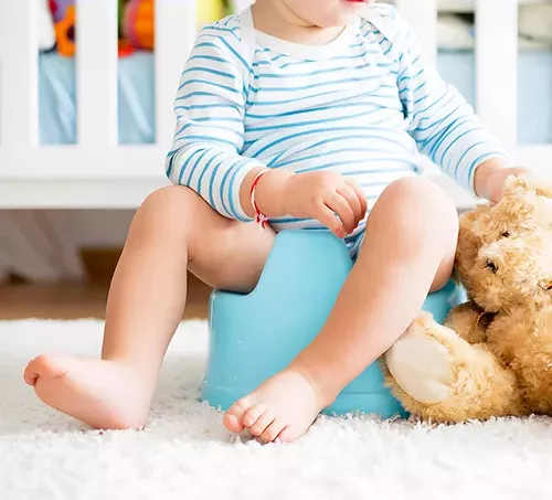Toddler sitting on a potty-training seat with a stuffed toy nearby, illustrating the supportive potty-training process at Blossom Nursery & Preschool 